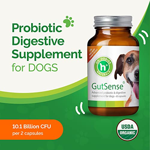 Dr. Dobias GutSense, Advanced Prebiotic & Probiotics for Dogs, Canine