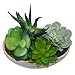 MyGift Decorative Artificial Succulent Plant Arrangement with Oval Gray Pot