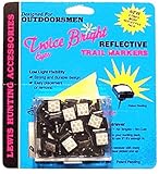 Lewis Hunting Twice Bright Eyes