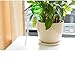 Fashionclubs Plant Watering Globes Small Plant Automatic Self Watering PVC Bulbs Ball,Pack of 4 (Clear)