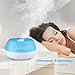 Homasy 800ml Ultrasonic Humidifier, Cool Mist Humidifier with Auto Shut off Function, One Touch Button Control for Office Home Bedroom Yoga Spa