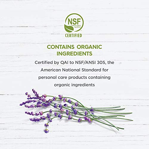 AVALON ORGANICS CONDITIONER, SMOOTH SHINE APPLE CIDER VINEGAR, 11 OZ (PACK OF 6)