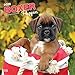 Boxer Puppies 2020 12 x 12 Inch Monthly Square Wall Calendar, Animals Dog Breeds Puppies by