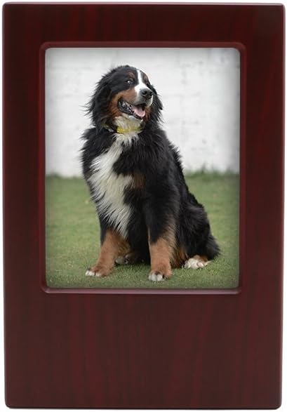 near and dear pet memorials