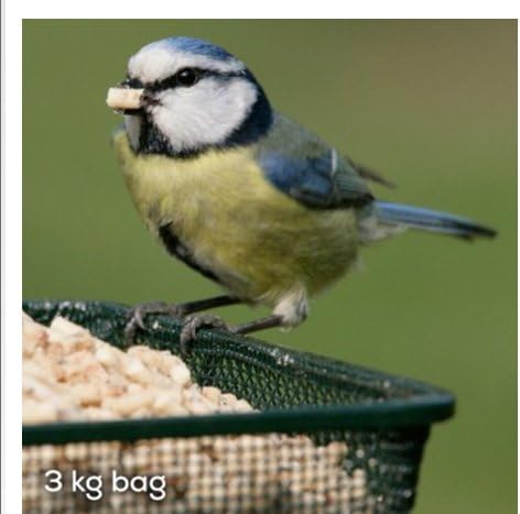 RSPB, Winter Suet Pellets, Wild Bird Food for Small Birds Robins, and Common Garden Breeds, with Raisins - Image 3