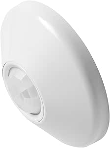 Amazon.com: Sensor Switch cm PDT 10 R P Low Ceiling Mount Low Voltage