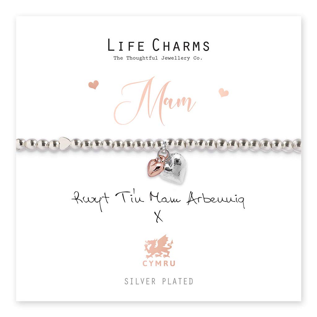 Life Charms Rwyt Ti'n Mam Arbennig Welsh