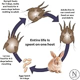 Naqua Ivermectin 1% 5ml Drops for Small Animals Vet Strength Mite Treatment view 3