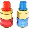 Joywayus Low High R134a AC Quick Connectors System Port Adapters Couplers for HVAC Auto Car Air Conditioning with Manifold Hose Gauge,1/4" SAE HVAC