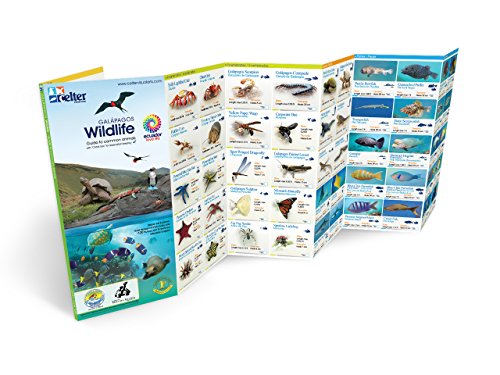 Galapagos Wildlife Field Guide, New and Updated Version (English and Spanish Edition)