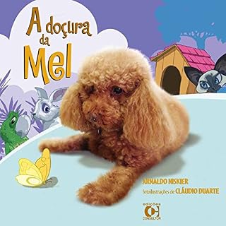 Livro A DOÇURA DA MEL