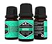 EA AromaCare Aromatherapy Essential Oils Blends Gift Set, Therapeutic Grade, 100% Pure, (Detox, Immunity, Rejuvenate, Sleep Well, Relax and Muscle Relief) Great Essential Oils Set