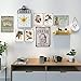 TISOSO Farm Fresh Milk Cheese Butter Novelty Metal Tin Signs Bar Restaurant Kitchen Home Decor Wall Art Retro Vintage Distressed Size 8