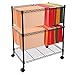 Finnhomy Supreme 2-Tier Metal Rolling File Cart Mobile Filing cart for Letter Size and Legal Size Folder, Black