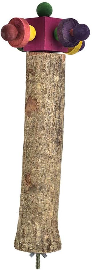 PARROT ESSENTIALS Parrot Perch and Wooden Twirling Toy, Colourful Spinning Parrot Toy, Encourages Mental, Physical Exercise - Image 3