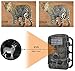 ZenNutt Wildlife Trail & Game Camera-HD 1080P 12 MP Mini Low Glow Infrared Night Vision Motion Activated Outdoor Hunting Cameras with 2.4