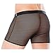 Men's Sexy Mesh Sheer Breathable Boxer Briefs Comfy Underwear Faux Leather Zipper Bulge Pouch Wetlook Low Rise Cool Swim Thongs Shorts Panties Transparent Lingerie Bikini Trunks Underpants Swimwear