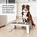 PetFusion Elevated Dog Bowls in Premium Anodized Aluminum Stand (Tall 8