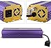 Apollo Horticulture APL1000 Hydroponic 1000 - Watt HPS MH Digital Dimmable Electronic Ballast