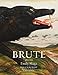 Brute: Poems by Emily Skaja