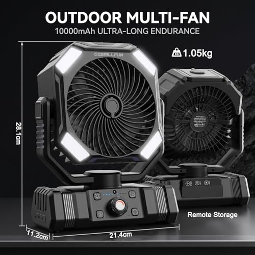 GOBRILLFUN Battery Operated Fan 10000mAh with Mist, Portable Remote Control Fan with 300mL Tank, Oscillating Cooling Fan, 2 Mist Modes, LED Light, Timer, Rechargeable for Camping Patio Beach Office