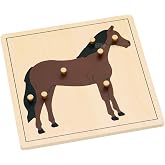 Elite Montessori Horse Puzzle Preschool Learning Material