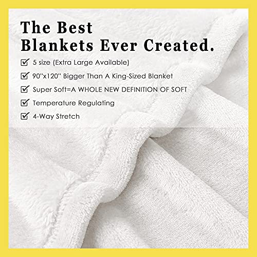Darani Mexico Taco Lightweight Super Soft Cozy Throw Blanket Warm and Lightweight Soft Flannel Blankets 50x40 Small for Kid Bed Blanket