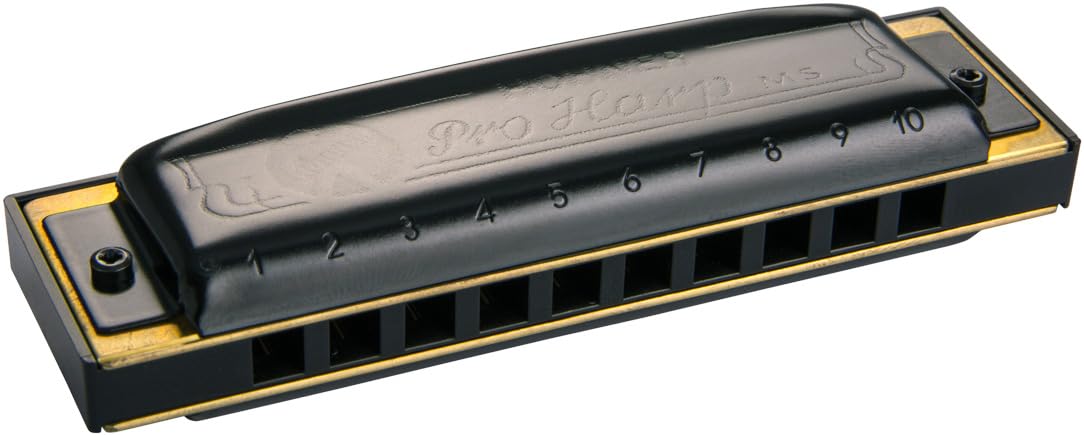 Hohner M564086X Pro Harp G Harmonica