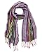 Anika Dali Women’s Jewel Shimmer Multicolor Stripe Scarf, Metallic Pashmina Shawl (Purple Dazzle)