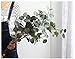 Nerseki Artificial Silver Dollar Eucalyptus Leaf Spray in Green Leaves Indoor Outside Home Garden Office Wedding Décor(3 Stems)