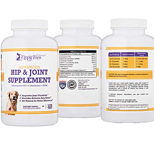 View of GLUCOSAMINE for Dogs 800mg Hip and Joint Supplement with MSM ...