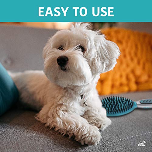 Groomist Ball Tip Porcupine Pin Dog Brush With Ergonomic Soft Grip