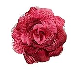 WD2U Girls Extra Large Mesh Lace Rose Silk Flower Hair Bow Alligator Clip Brooch