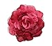 WD2U Girls Extra Large Mesh Lace Rose Silk Flower Hair Bow Alligator Clip Brooch