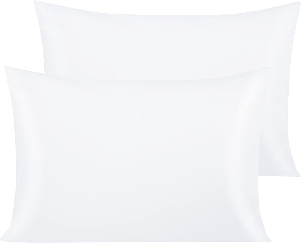 NTBAY 500 Thread Count 100% Egyptian Cotton Pillow Cases 2 Pack White