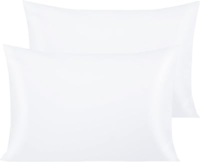 NTBAY 500 Thread Count 100% Egyptian Cotton Pillow Cases 2 Pack White