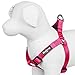 Blueberry Pet Essentials Step-in Dog Harness, Large Size | Adjustable French Pink Vest | Classic Solid Nylon for Boy & Girl Dogs, Chest Girth 26