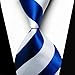 YanLen Lot 9 PCS Classic Men's 100% Silk Tie Necktie Woven JACQUARD Neck Ties (Set 2)