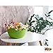 Premium Large Salad Bowl - Serving Bowl - Fruit Bowl - Candy Dish - Decorative Centerpiece Bowl - Best for Serving Fruit Salad Candy Popcorn Punch Chips Pasta - Unique Modern Design - Ceramic (Green)