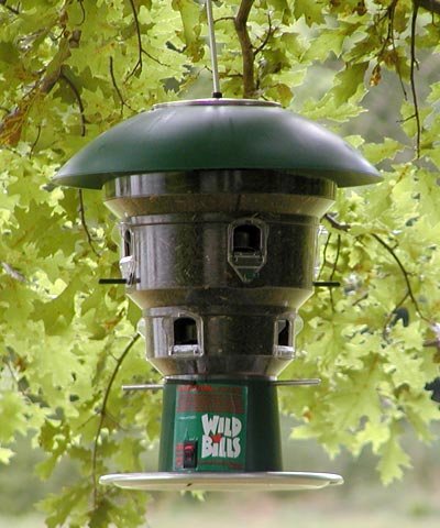 Beautiful Backyard Bird Feeders Small Birds Will Love