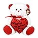 KINREX Soft Stuffed Teddy Bear - Happy Valentine's Day Bear for Girlfriend, Boyfriend, Wife, Husband - White with Red Message & Heart Pillow - 11.81