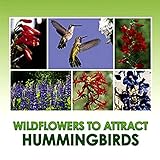 Hummingbird Nectar Wildflower Seeds Bulk + 8 Bonus Gardening eBooks + Open-Pollinated Wildflower Seed Mix Packet, Non-GMO, NO FILLERS, Annual, Perennial Wildflower Seeds Year Round Planting - 1 oz