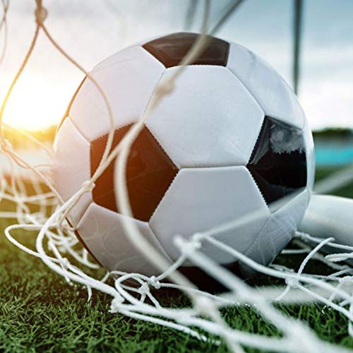 OhhGo-Futbol-Negro-Blanco-Bolas-Clasicas-Ninos-Diversion-Jugar-Juego-Partido-Futbol-Tamano-5-para-Interior-Ejercicio-Al-Aire-Libre-Equipo-Entrenamiento-215-215-215Cm