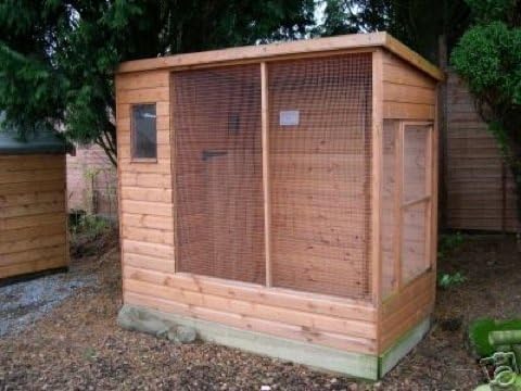 All Weather 8' x 4', Bird House for Budgies, finches, parrots from Buttercup Farm