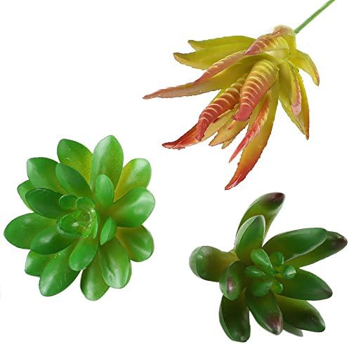 Hogado Set of 3 Artificial Succulent Cactus Echeveria Plants Unpotted Home Kitchen Office Desk Pots Garden Wall DIY Decor for Wedding