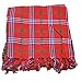 Red, Green, White and Purple Maasai Masai Shuka Shawl Scarf Beach Wrap Cover Up Tablecloth