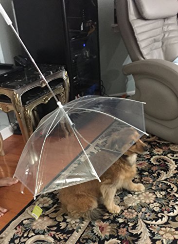 Perfect Life Ideas Pet Dog Umbrella with Leash - Easy View Clear Transparent Folding Puppy Umbrella for Small Dogs Puppies 20 Inches Back Length - Provides Protection from Rain Snow Wet Weather