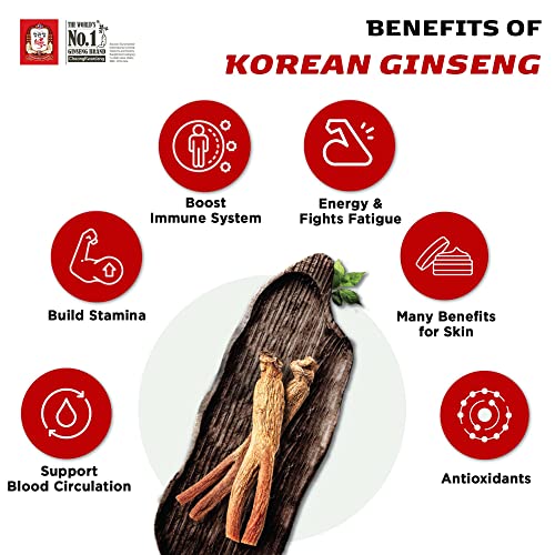 CheongKwanJang 100 Panax Red Ginseng Extract Stick Pre Workout
