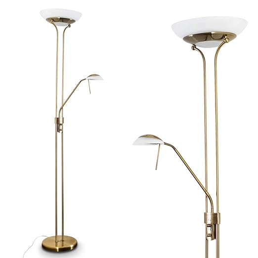 Led Floor Lamp Biot Reading Light With Pivot Arm Ceiling Flood