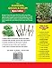 The Bamboo, Grass & Palm Specialist: The Essential Guide to Selecting, Growing and Propagating Bamboos, Grasses and Palms (Specialist Series)